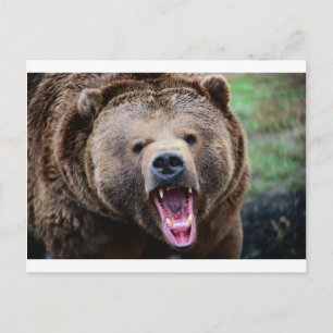 Roaring Grizzly Bear Postkarte