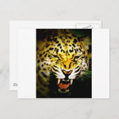Roaring Leopard Postkarte (Vorne/Hinten)