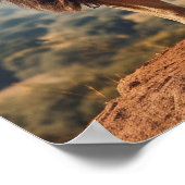 Roaring Lion auf dem Berg Poster (Ecke)