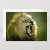 Roaring Lion Einladung (Vorne/Hinten)