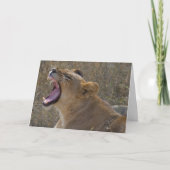 Roaring Lion Greeting card Karte (Vorderseite)