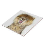 Roaring lion kitten fliese (Seite)