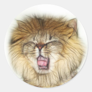 Roaring lion kitten runder aufkleber