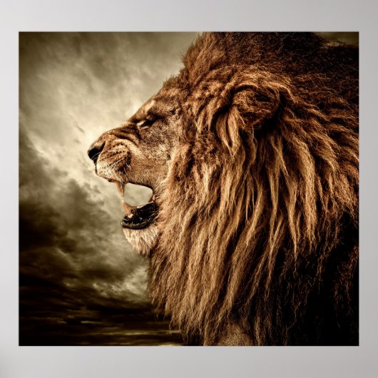 Roaring Lion: Majestic Vintag Art. Poster (Vorne)