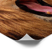 ROARING LION POSTER (Ecke)
