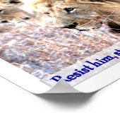 Roaring Lion Poster (Ecke)