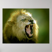 Roaring Lion Poster Print (Vorne)