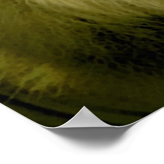 Roaring Lion Poster Print (Ecke)