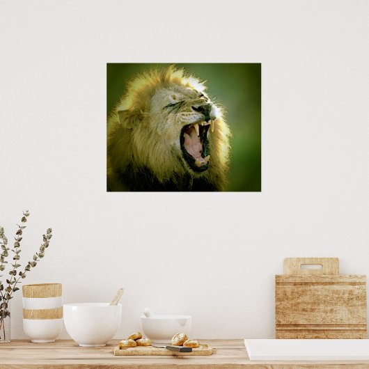 Roaring Lion Poster Print (Küche)