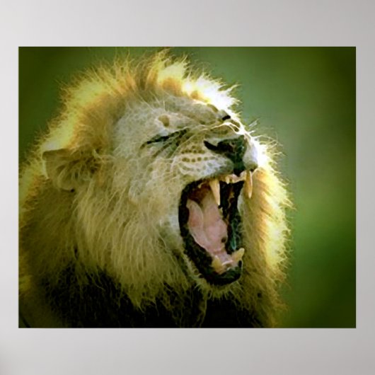 Roaring Lion Poster Print (Vorne)
