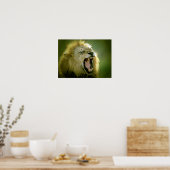 Roaring Lion Poster - Tierfotografie Art (Küche)