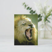 Roaring Lion Postkarte (Stehend Vorderseite)