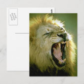 Roaring Lion Postkarte (Vorne/Hinten)