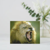 Roaring Lion Postkarte (Stehend Vorderseite)