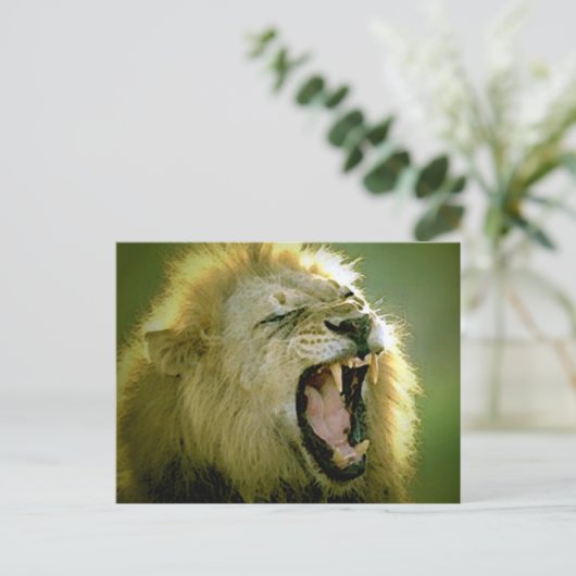 Roaring Lion Postkarte (Stehend Vorderseite)