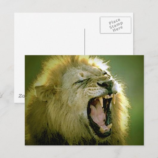 Roaring Lion Postkarte (Vorne/Hinten)