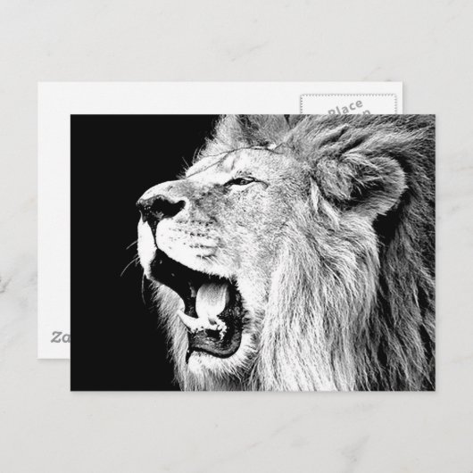 Roaring Lion Postkarte (Vorne/Hinten)