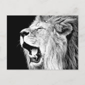 Roaring Lion Postkarte (Vorderseite)