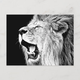 Roaring Lion Postkarte