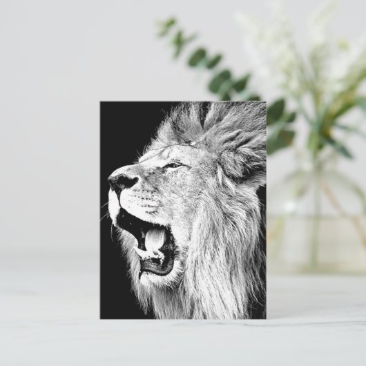 Roaring Lion Postkarte (Stehend Vorderseite)