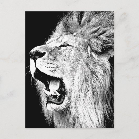 Roaring Lion Postkarte (Vorderseite)
