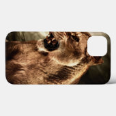 Roaring lioness against stormy sky Case-Mate iPhone hülle (Rückseite (Horizontal))