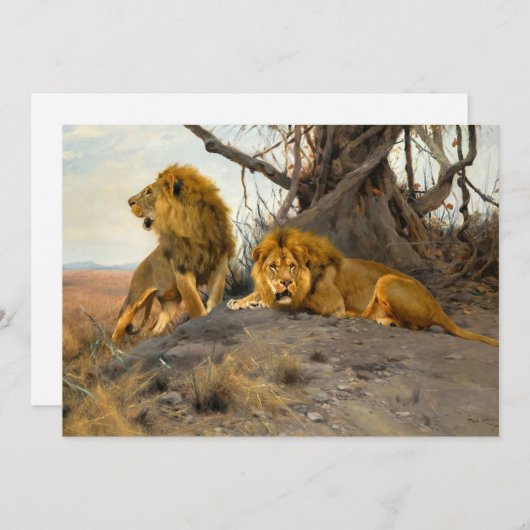 Roaring Lions | Wilhelm Kuhnert (Vorne/Hinten)