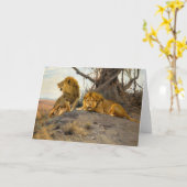 Roaring Lions | Wilhelm Kuhnert Karte (Gelbe Blume)