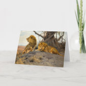 Roaring Lions | Wilhelm Kuhnert Karte (Vorderseite)