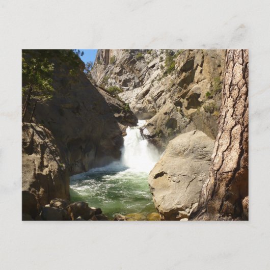 Roaring River Falls at Kings Canyon National Park Postkarte (Vorderseite)