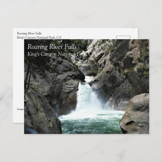 Roaring River Falls, King's Canyon, CA Postcard Postkarte (Vorne/Hinten)