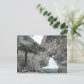 Roaring River Falls- Kings Canyon National Park Postkarte (Stehend Vorderseite)
