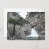 Roaring River Falls- Kings Canyon National Park Postkarte (Vorne/Hinten)