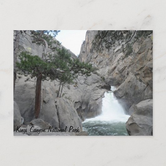 Roaring River Falls- Kings Canyon National Park Postkarte (Vorderseite)