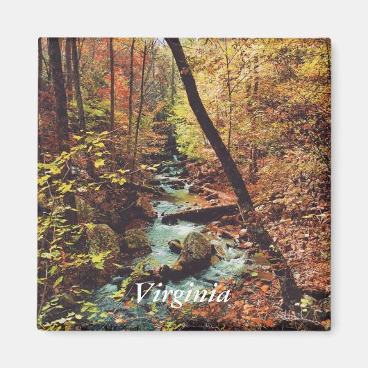 Roaring Run Magnet (Vorne)