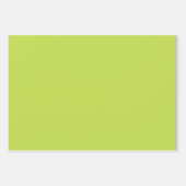 Roarsome 2. Girls Geburtstagsparty Geschenkpapier Set (Vorderseite 3)