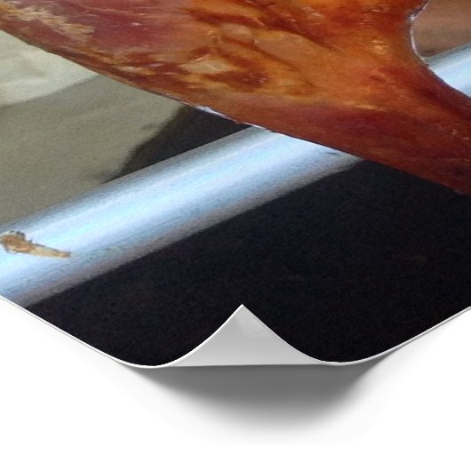 Roast Duck Poster (Ecke)