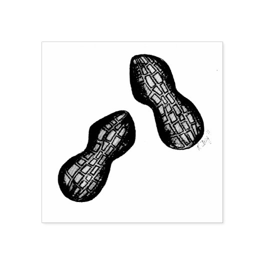 Roasted Ballpark Peanuts Nuts Snack Food Leckereie Gummistempel (Prägung)