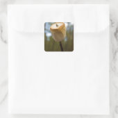 Roasting Marshmallows Quadratischer Aufkleber (Tasche)