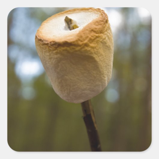 Roasting Marshmallows Quadratischer Aufkleber (Vorderseite)