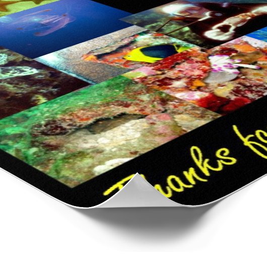 Roatan Collage Poster (Ecke)