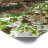 Roatan Poster (Ecke)