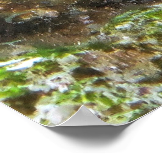 Roatan Poster (Ecke)