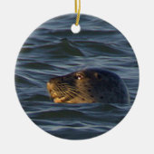 Robben-Foto-Ornament  Keramik Ornament (Vorne)