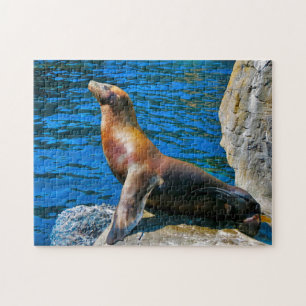 Robben Island Florida besiegeln. Puzzle