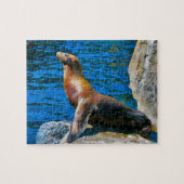 Robben Island Florida Puzzle (Horizontal)