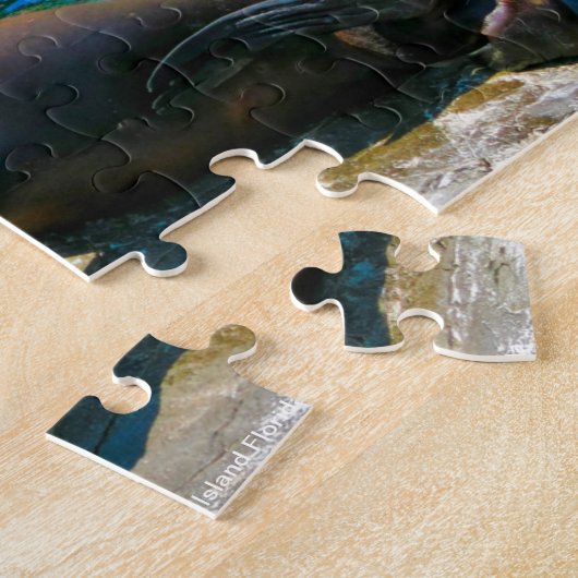 Robben Island Florida Puzzle (Seite)