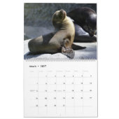 Robben-Wildlife-Wandkalender zum Feiern Kalender (Mär 2027)