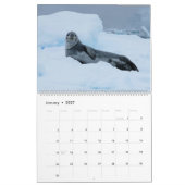 Robben-Wildlife-Wandkalender zum Feiern Kalender (Jan 2027)