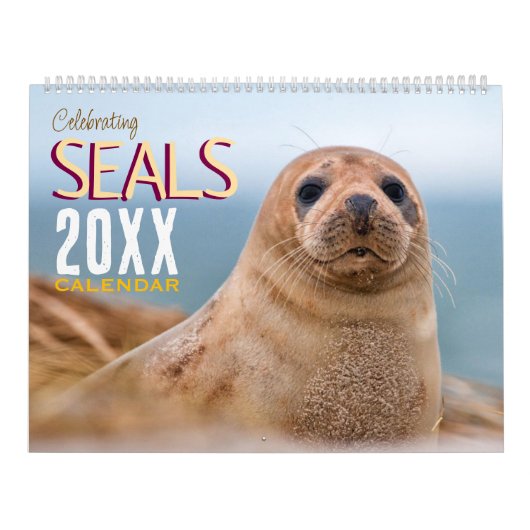 Robben-Wildlife-Wandkalender zum Feiern Kalender (Titelbild)